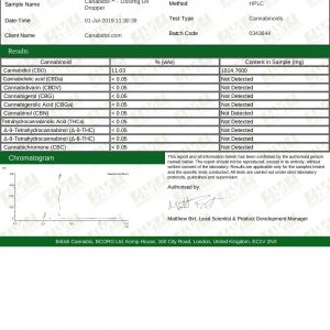 Lab Report