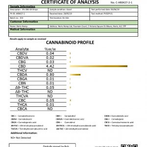 Lab Report