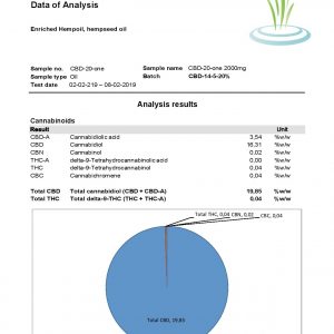 Lab Report