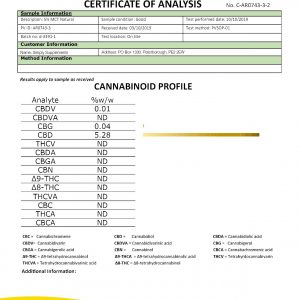 Lab Report