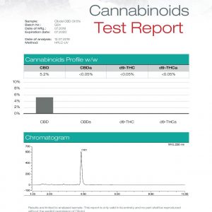 Lab Report