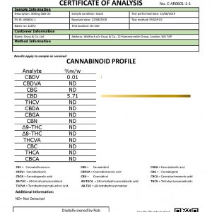 Lab Report