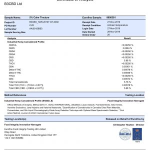 Lab Report