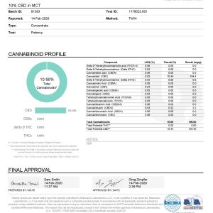 Lab Report