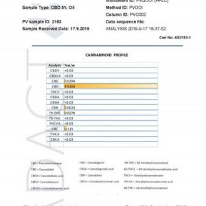 Lab Report