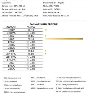 Lab Report