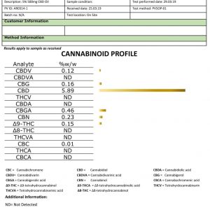 Lab Report