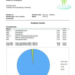 Lab Report