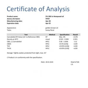 Lab Report